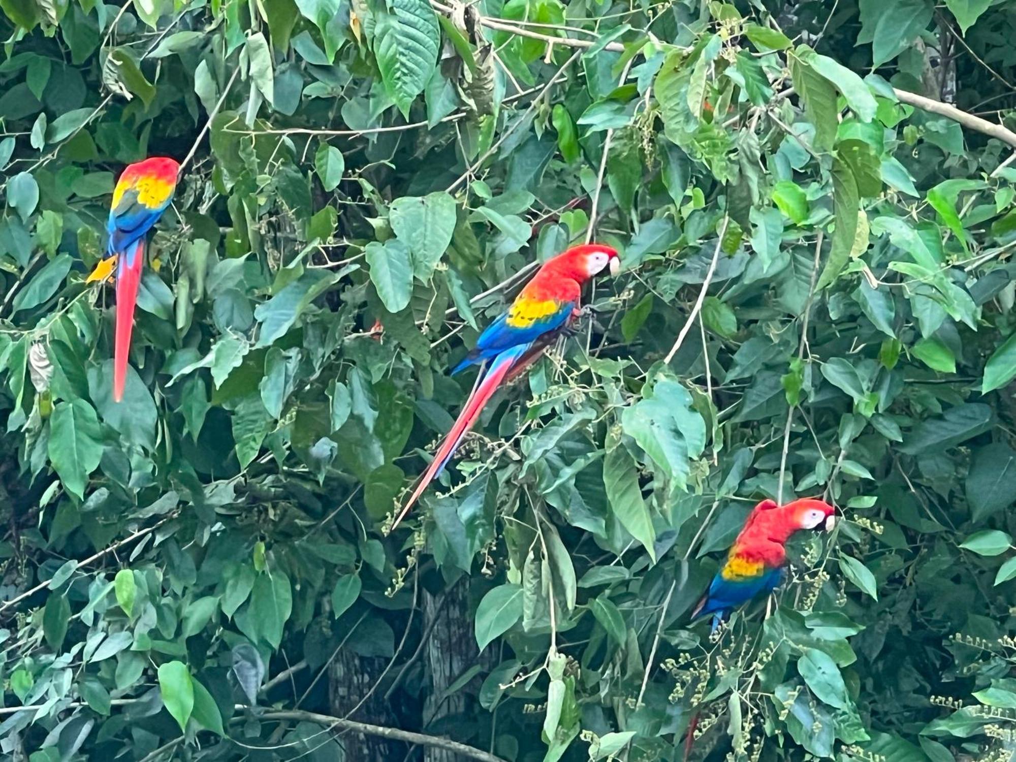 Hotel Templo Del Tigre Dos Brazos Zewnętrze zdjęcie